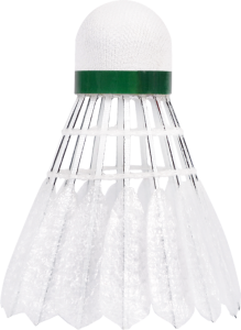 Victor New Carbonsonic NCS