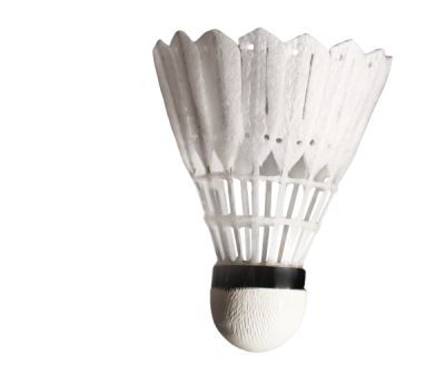 Preview: Victor New Carbonsonic NCS PRO